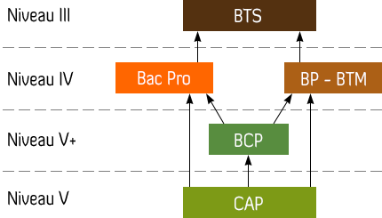 Schéma des formations